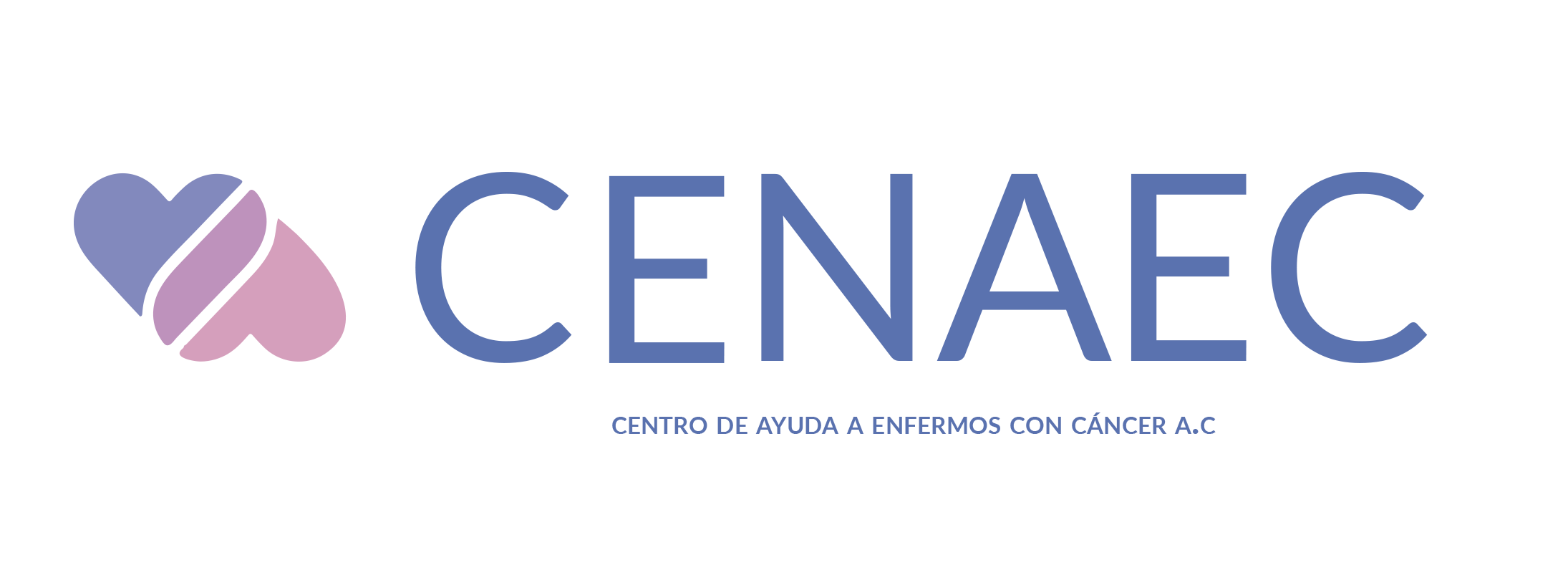 logo_CENAEC